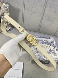 希少色ディオール ベルト コピー SADDLE 20mm カーフスキン den69515