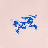 累積売上総額第１位！2025 アークテリクス 新作 半袖Tシャツ 偽物