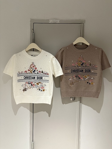 超限定♪ 2026 ディオール 新作 半袖Tシャツ コピー 2色