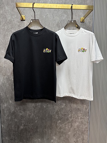 注目度抜群！2026 ディオール 新作 半袖Tシャツ コピー 2色