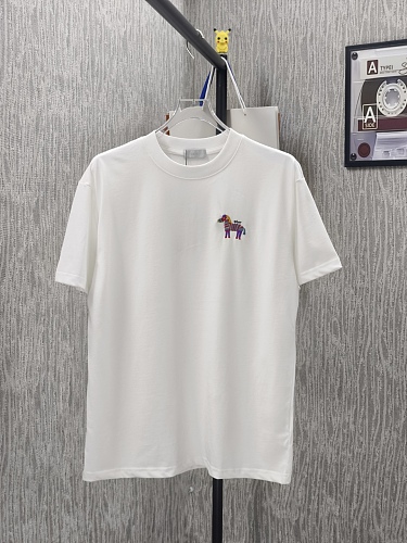 絶対欲しい！ 2026 ディオール 新作 半袖Tシャツ スーパーコピー
