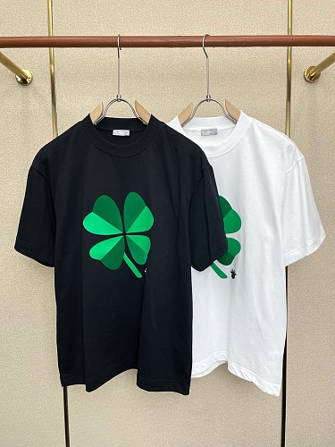 完売必至 2026 ディオール 新作 半袖Tシャツ スーパーコピー 2色