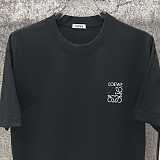絶対欲しい！2026 ロエベ 新作 半袖Tシャツ スーパーコピー