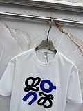 超希少！2026 ロエベ 新作 半袖Tシャツ 偽物