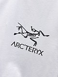目を惹くカラー 2026 アークテリクス 新作 半袖Tシャツ コピー