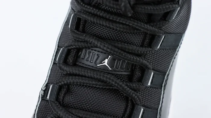 Jordan 11 Retro Jubilee 25th Anniversary