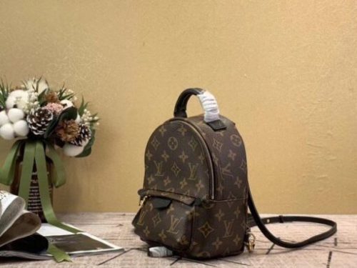 Replica Louis Vuitton Mini Palm Springs Backpack M44873 BLV008