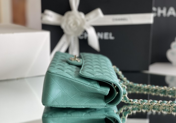 (Authentic Quality)Chanel Classic Flap Small Size 23 Soft Caviar Leather In Pearl Green