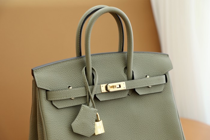 Hermes Birkin 25 Togo Leather Handmade Bag In Sauge