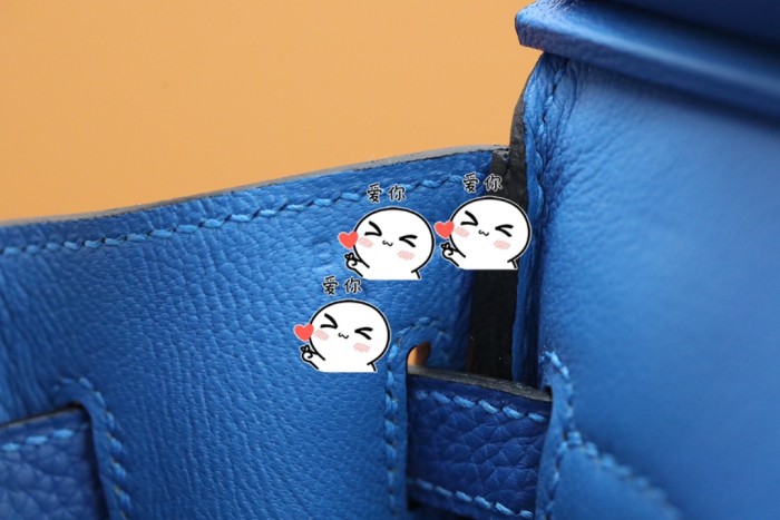 Hermes Birkin 25 Togo Leather Handmade Bag In Bleu France