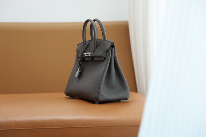 Hermes Birkin 25 Togo Leather Handmade Bag In Gris Etain