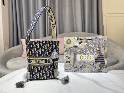 dior d-bubble bucket bag