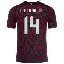 2024/25 Mexico Away Fans Soccer Jersey