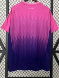 2024/25 Germany Euro Away Man Soccer Jersey