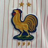 2024/25 France  Euro Away Man Jersey