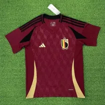 2024/25  Euro  Belgium Home Soccer Jersey