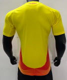 2024/25 Colombia Home Yellow Soccer Jersey Player Version