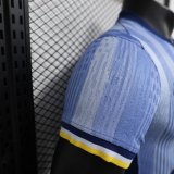 2024/25 Tottenham Hotspur Away Soccer Jersey Player Version