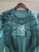 2024/25 Mexico Green Fans Training Soccer Jersey