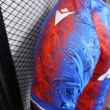2024/25 Crystal Palace Home Soccer Jersey Player Version