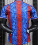 2024/25 Crystal Palace Home Soccer Jersey Player Version
