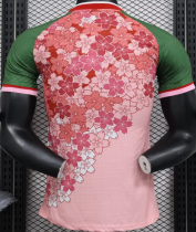 2024/25 Japan Special Edition Soccer Jersey Player Jersey