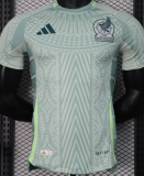 2024/25 Mexcico Away Soccer Jersey Player Version