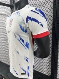 2024 Norway away Player Version Soccer Jersey