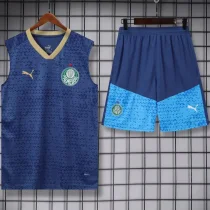 2024/25 Palmeiras Sapphire Blue Vest Training Jersey