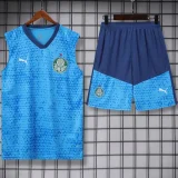 2024/25 Palmeiras Blue Vest Training Jersey