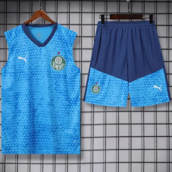 2024/25 Palmeiras Blue Vest Training Jersey