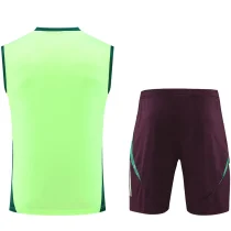 2025 Mexico Light Green Vest Training Jersey