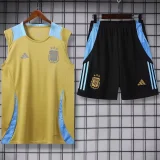 2024/25 Argentina Khaki Vest Training Tracksuit