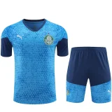 2024/25 Palmeiras Blue Training Jersey