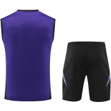 2025 Germany Purple Vest Training Jersey