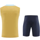 2024/25 France Khaki Vest Training Jersey