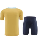 2024/25 France Khaki Training Jersey