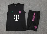 2024/25 Bayern Black Vest Training Jersey
