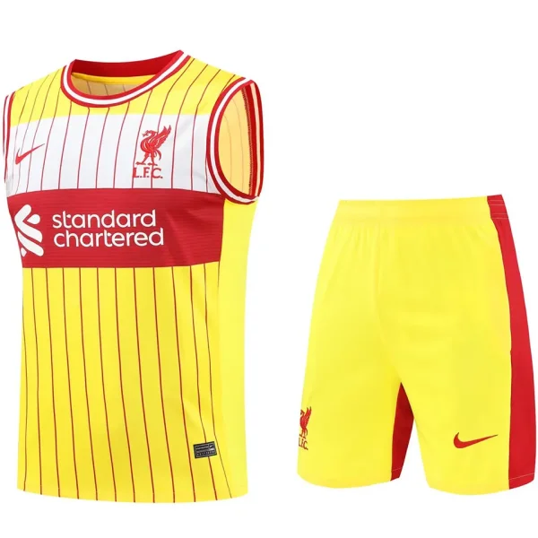 2024/25 Liverpool Yellow Vest Training Tracksuit