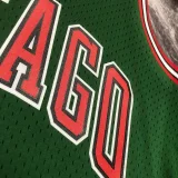 2008/09 Bulls ROSE #1 Retro Green NBA Jerseys热压