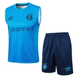 2024/25 Grêmio Blue Vest Training Jersey (A Set)
