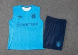 2024/25 Grêmio Blue Vest Training Jersey (A Set)