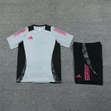 2025 AD~ Grey Training Jersey