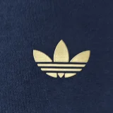 2024/25 Argentina Sapphire Blue Hoodie