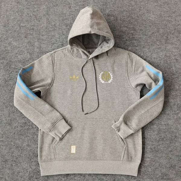 2024/25 Argentina Grey Hoodie