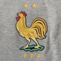 2025 France Grey Hoodie