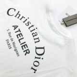 ★日本!!人気！ディオール Tシャツ コピー CD 刺繍 コラボ ライオン オーバーサイズ dex24232