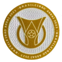 2023 植绒 BRASILEIRAO ASSAI Flocking Patch 2023巴甲联赛臂章 (You can buy it Or tell me to print it on the Jersey )