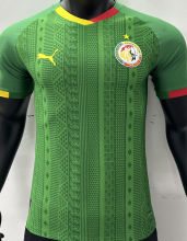 2023/24 Senegal Away Green Player Version Jersey