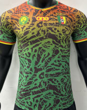 2024 Cameroon Special Edition Player Version Jersey